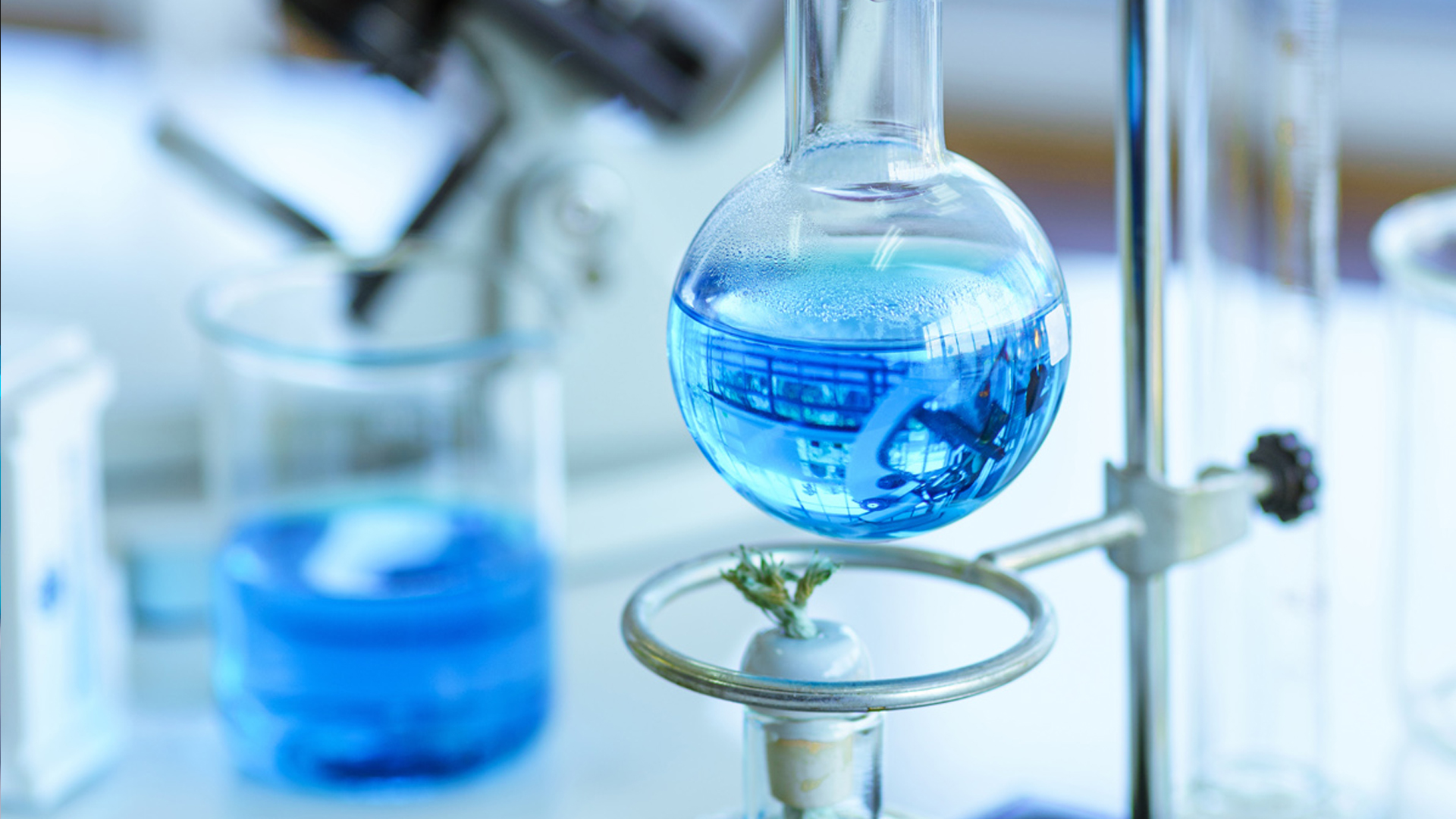 Chemical & Blending